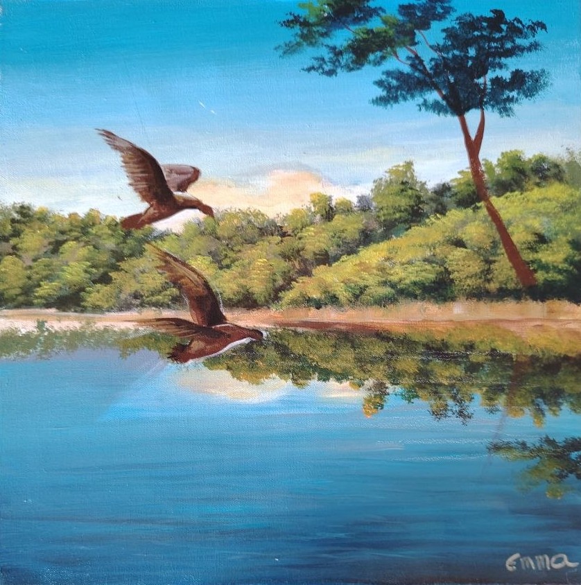 Œuvre d’Emma : oiseaux sur le lagon